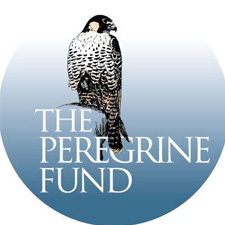 Zoo-Bioparque-Amaru-Cuenca-Ecuador-alianzas-estrategicas