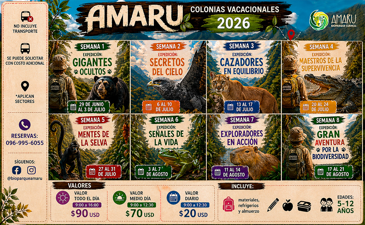 Colonia Vacacional Amaru 2026