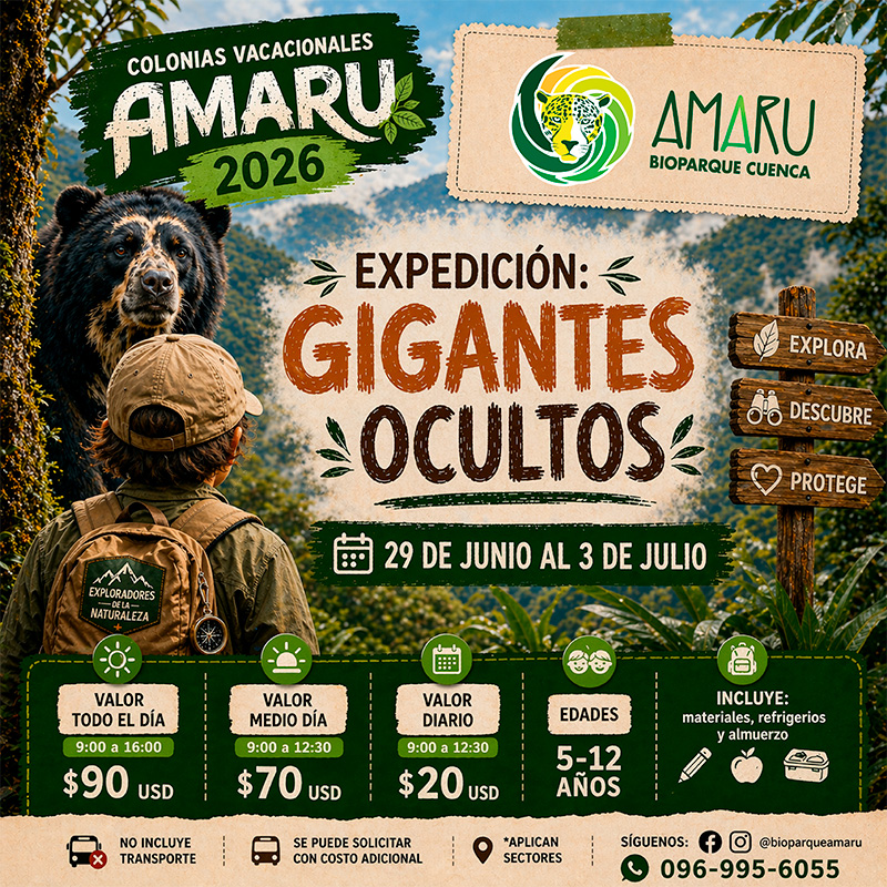 Colonia Vacacional Amaru 2026