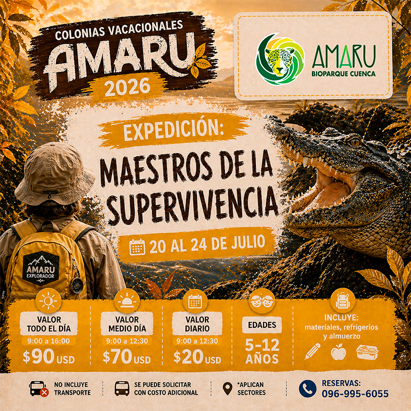 Colonia Vacacional Amaru 2026