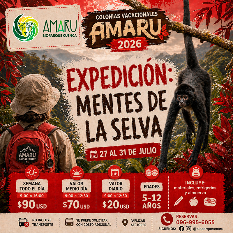 Colonia Vacacional Amaru 2026