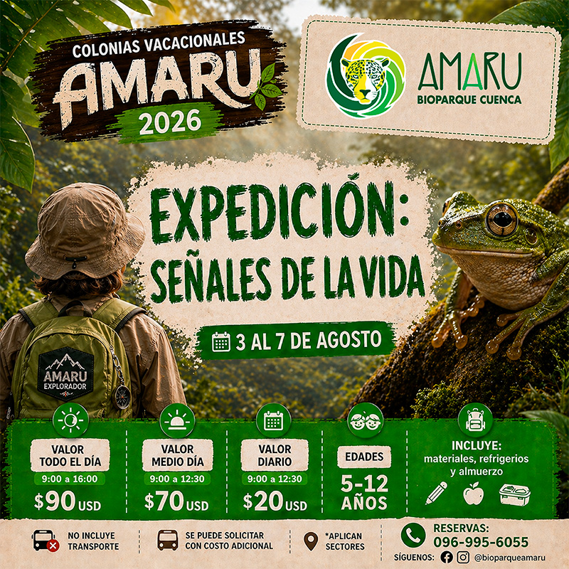 Colonia Vacacional Amaru 2026