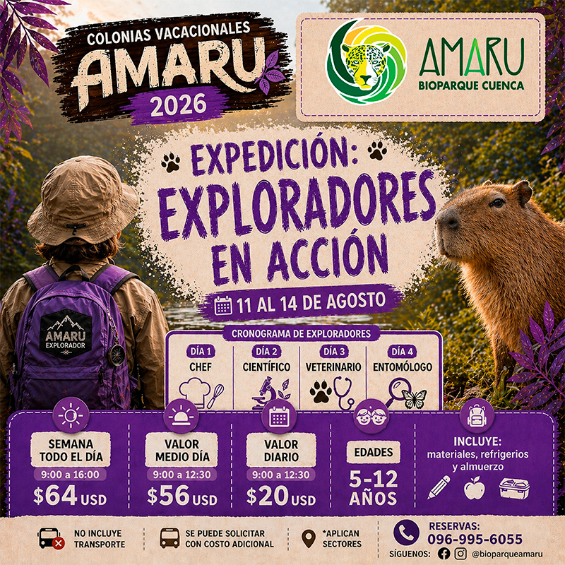 Colonia Vacacional Amaru 2026