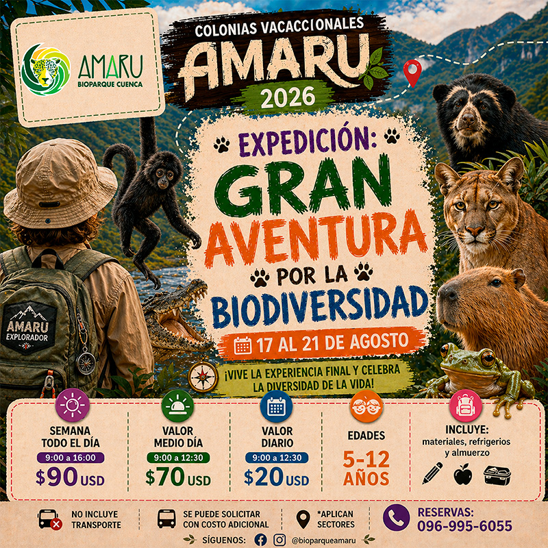 Colonia Vacacional Amaru 2026