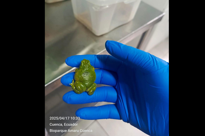 Centro de Conservación de Anfibios