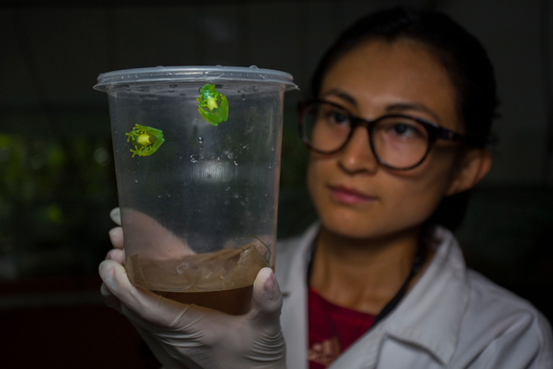 Centro de Conservación de Anfibios