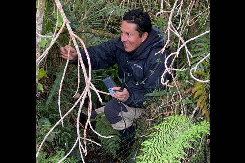 Estrategias de conservación de anfibios en el Corredor Sangay Podocarpus