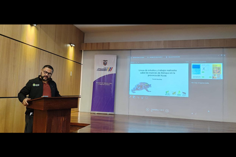 Estrategias de conservación de anfibios en el Corredor Sangay Podocarpus