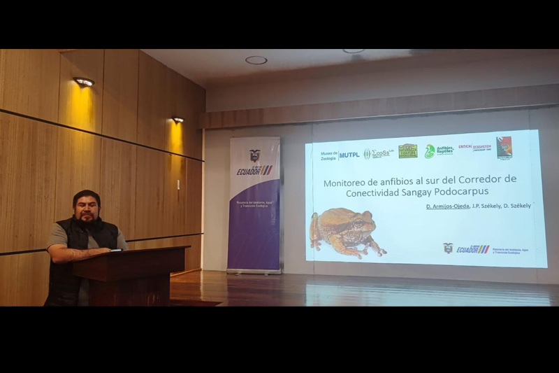 Estrategias de conservación de anfibios en el Corredor Sangay Podocarpus