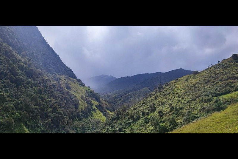 Estrategias de conservación de anfibios en el Corredor Sangay Podocarpus