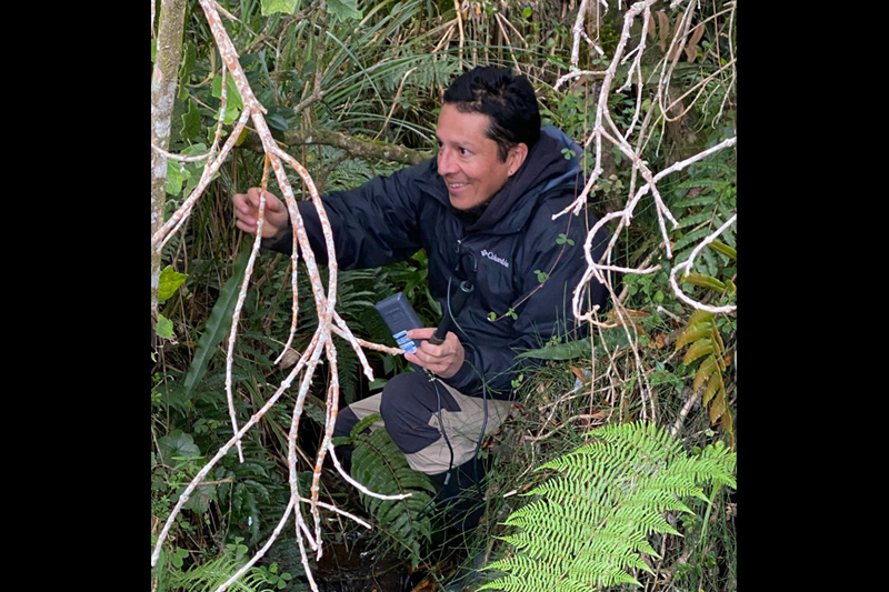 Estrategias de conservación de anfibios en el Corredor Sangay Podocarpus