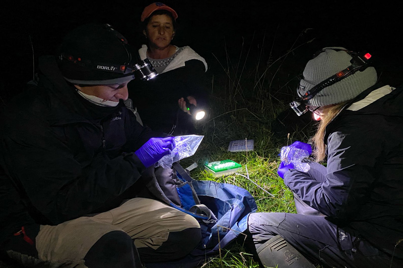 Estrategias de conservación de anfibios en el Corredor Sangay Podocarpus