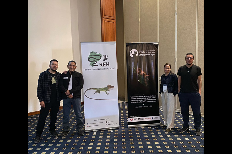 Estrategias de conservación de anfibios en el Corredor Sangay Podocarpus