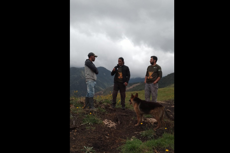 Estrategias de conservación de anfibios en el Corredor Sangay Podocarpus
