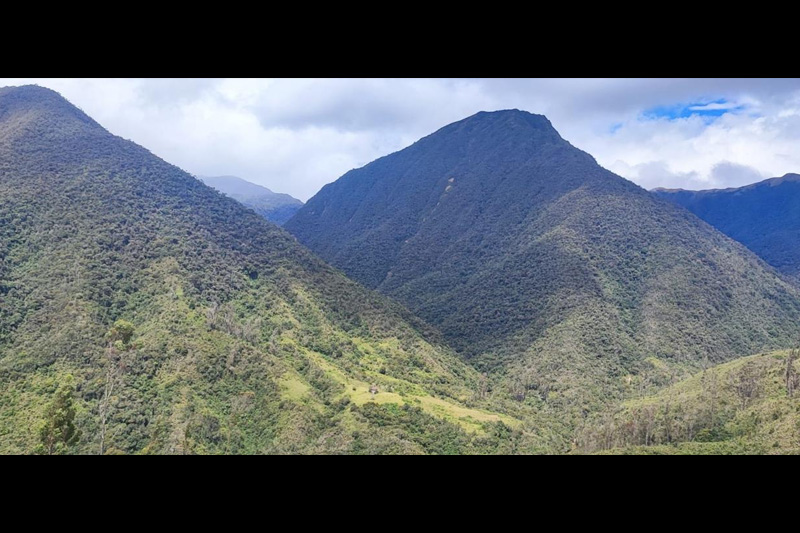Estrategias de conservación de anfibios en el Corredor Sangay Podocarpus