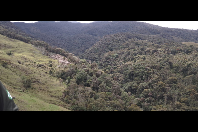 Estrategias de conservación de anfibios en el Corredor Sangay Podocarpus