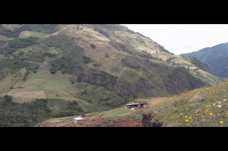 Estrategias de conservación de anfibios en el Corredor Sangay Podocarpus