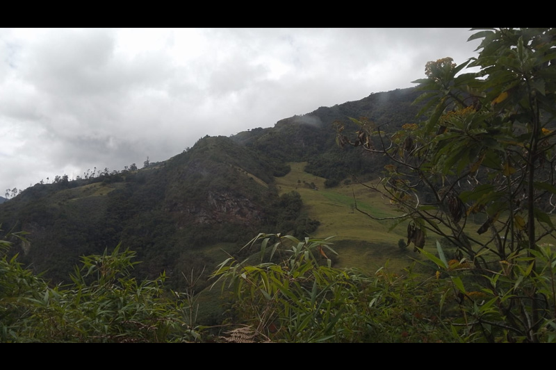 Estrategias de conservación de anfibios en el Corredor Sangay Podocarpus