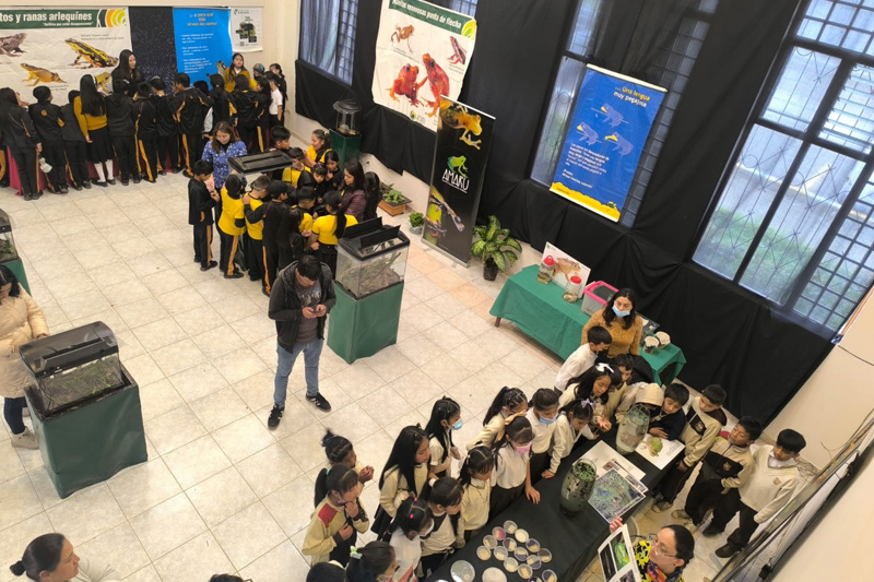 Estrategias de conservación de anfibios en el Corredor Sangay Podocarpus