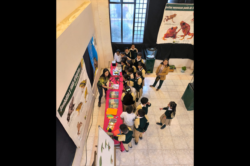 Estrategias de conservación de anfibios en el Corredor Sangay Podocarpus