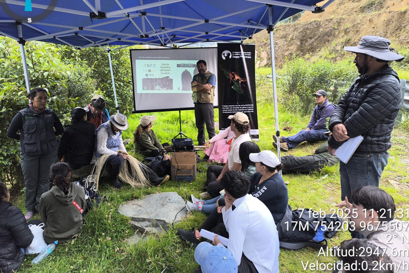 Estrategias de conservación de anfibios en el Corredor Sangay Podocarpus