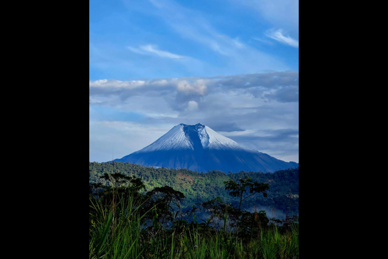 Estrategias de conservación de anfibios en el Corredor Sangay Podocarpus
