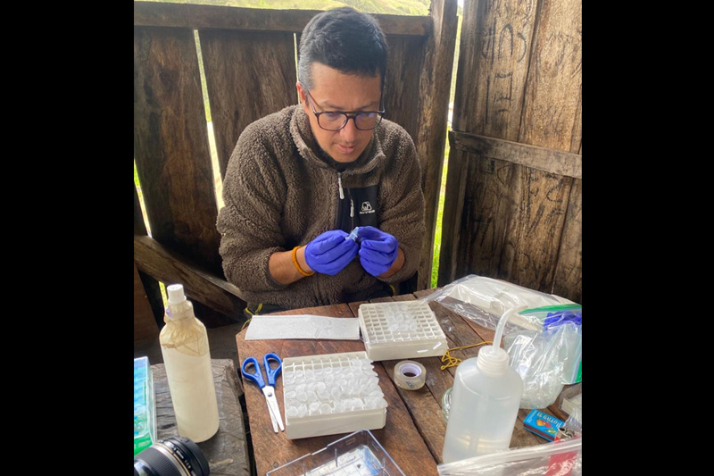 Estrategias de conservación de anfibios en el Corredor Sangay Podocarpus