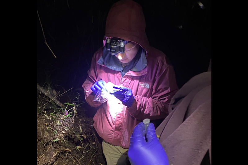 Estrategias de conservación de anfibios en el Corredor Sangay Podocarpus