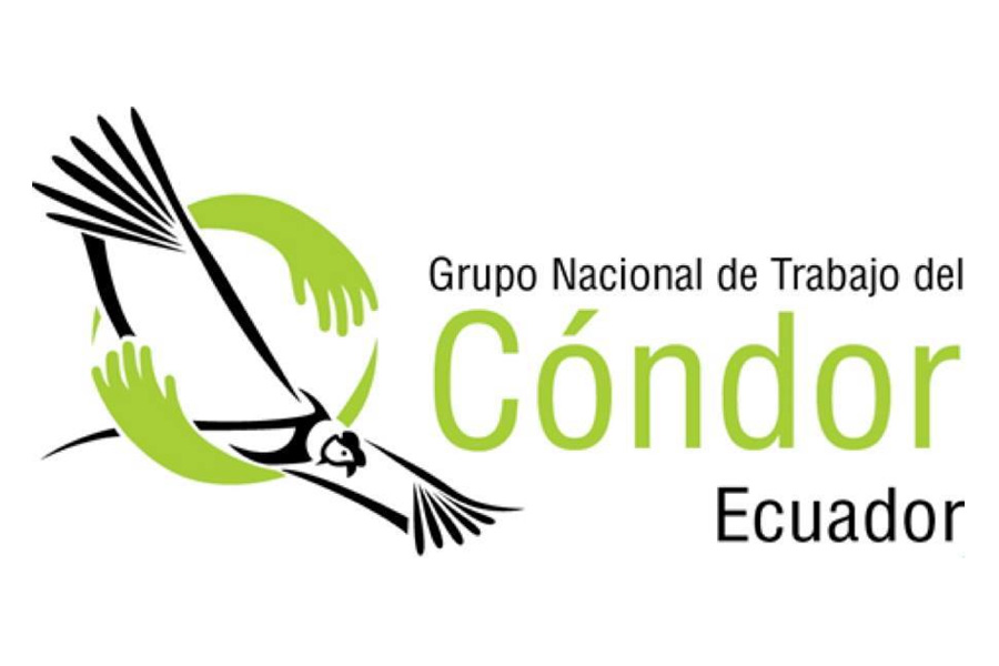 Rescate y rehabilitación de cóndores vulnerados