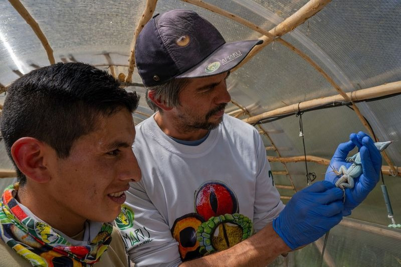Guardianes de la Coliazul