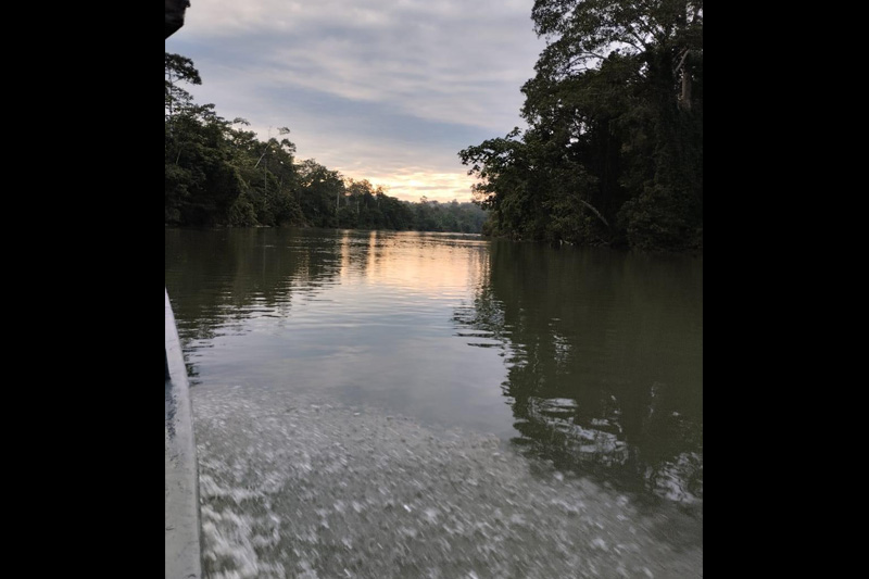 Guardianes de los delfines de Río
