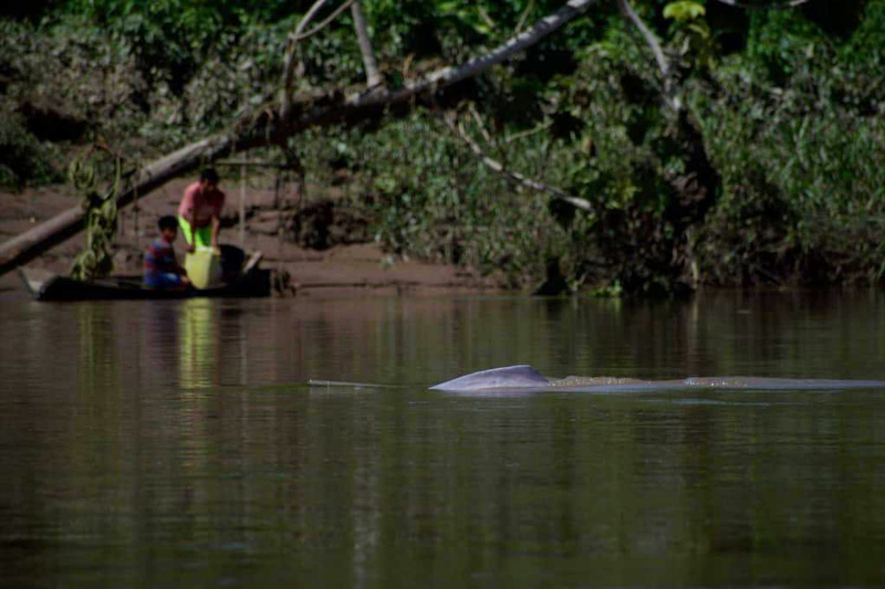 Guardianes de los delfines de Río