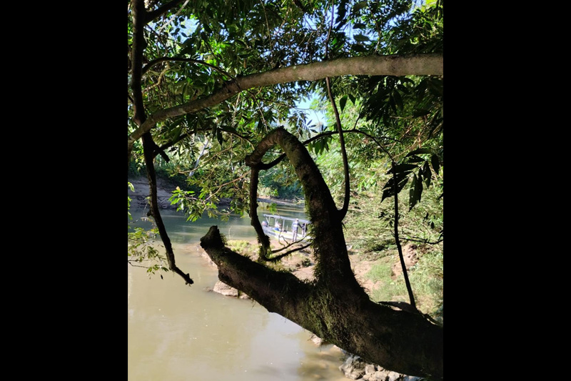 Guardianes de los delfines de Río