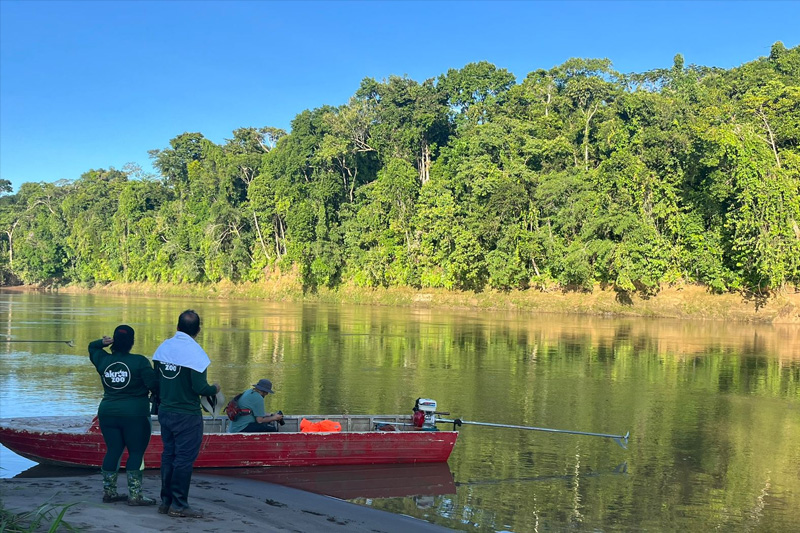 Guardianes de los delfines de Río