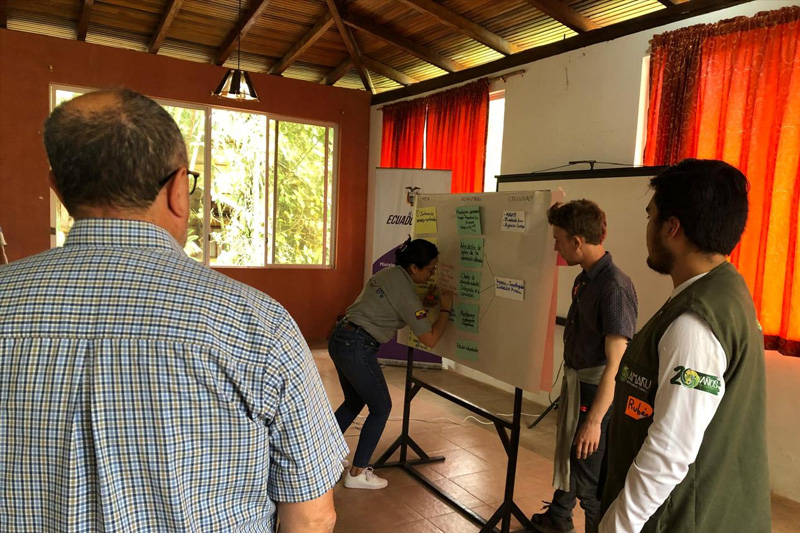 Guardianes de los delfines de Río