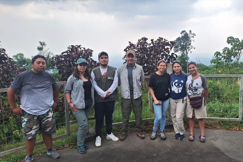 Guardianes de los delfines de Río