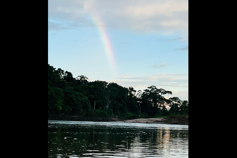 Guardianes de los delfines de Río