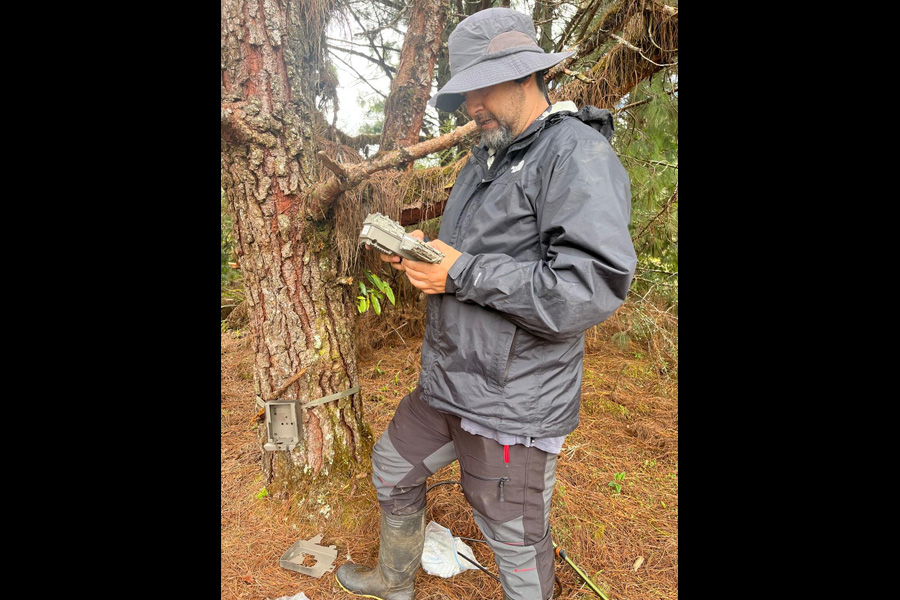 Oso Andino Proyectos de Conservación