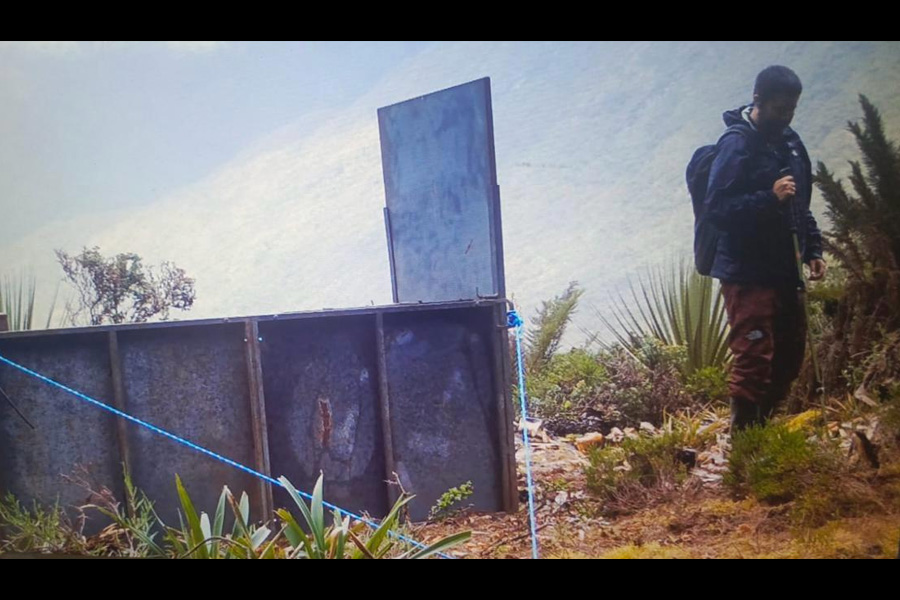 Oso Andino Proyectos de Conservación